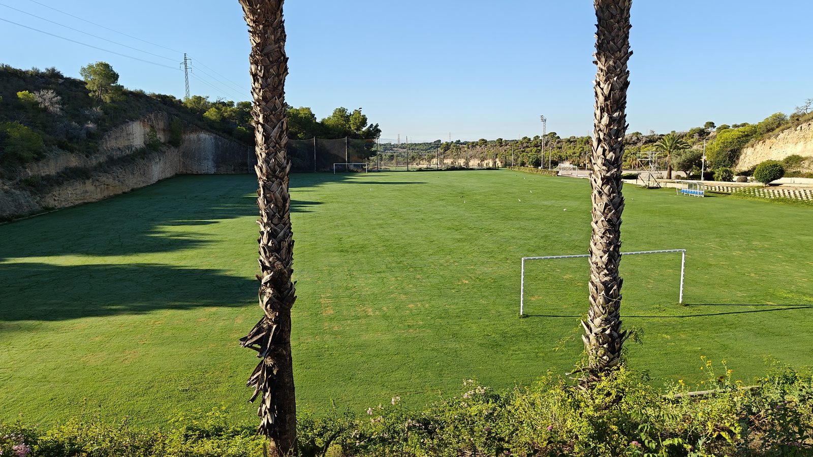 Grass football pitch between palm trees at the Campoamor sports area