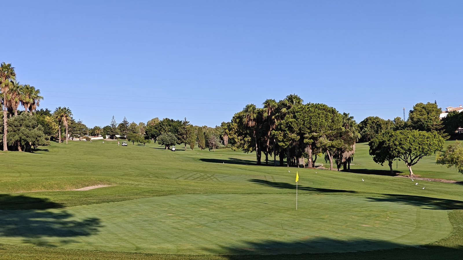 Open fairway and green at Real Club de Golf Campoamor, lined with pines and palms