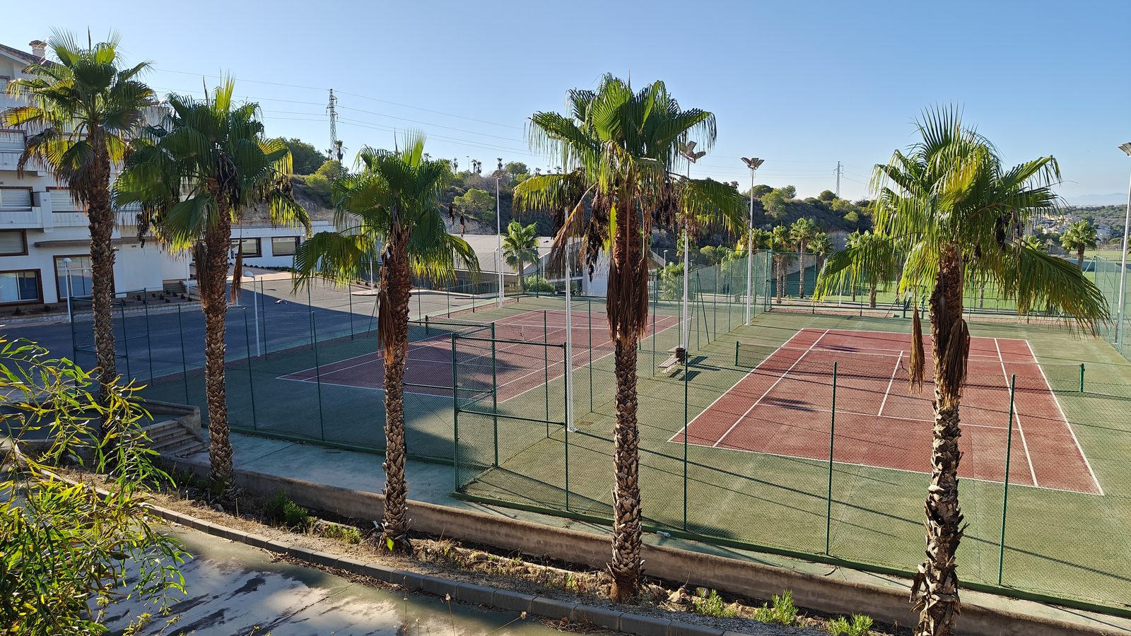 Outdoor tennis courts among palm trees at the Campoamor resort