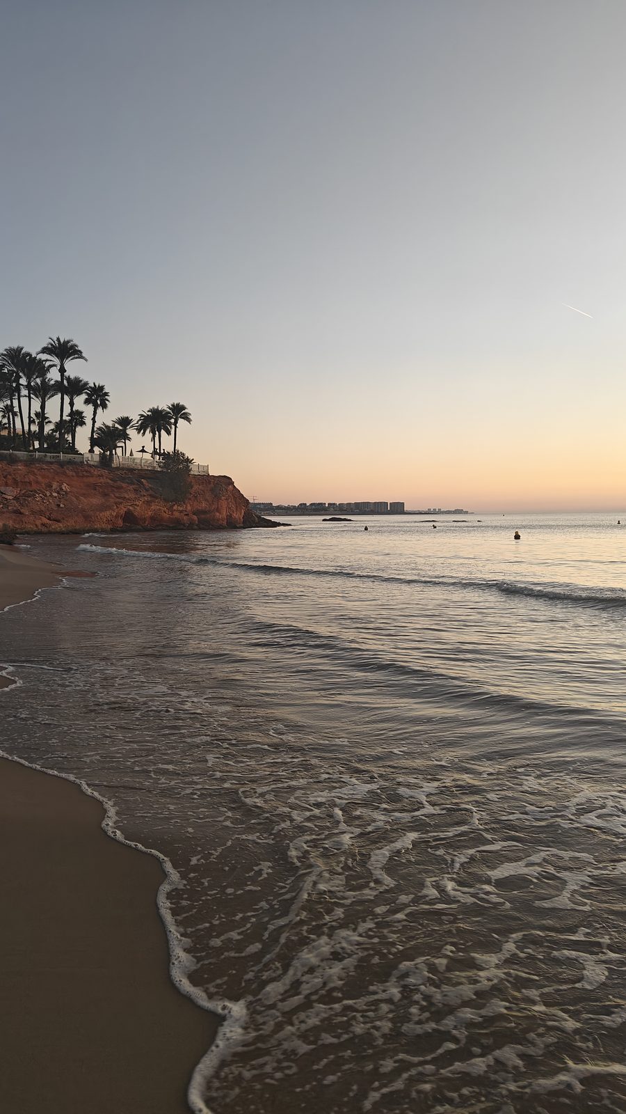 The shoreline curving towards the palm-lined headland at La Zenia beach at dawn