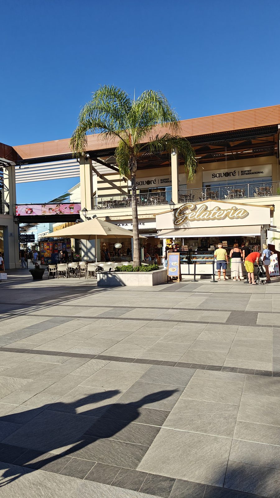 Palm tree and café terraces in a Zenia Boulevard plaza