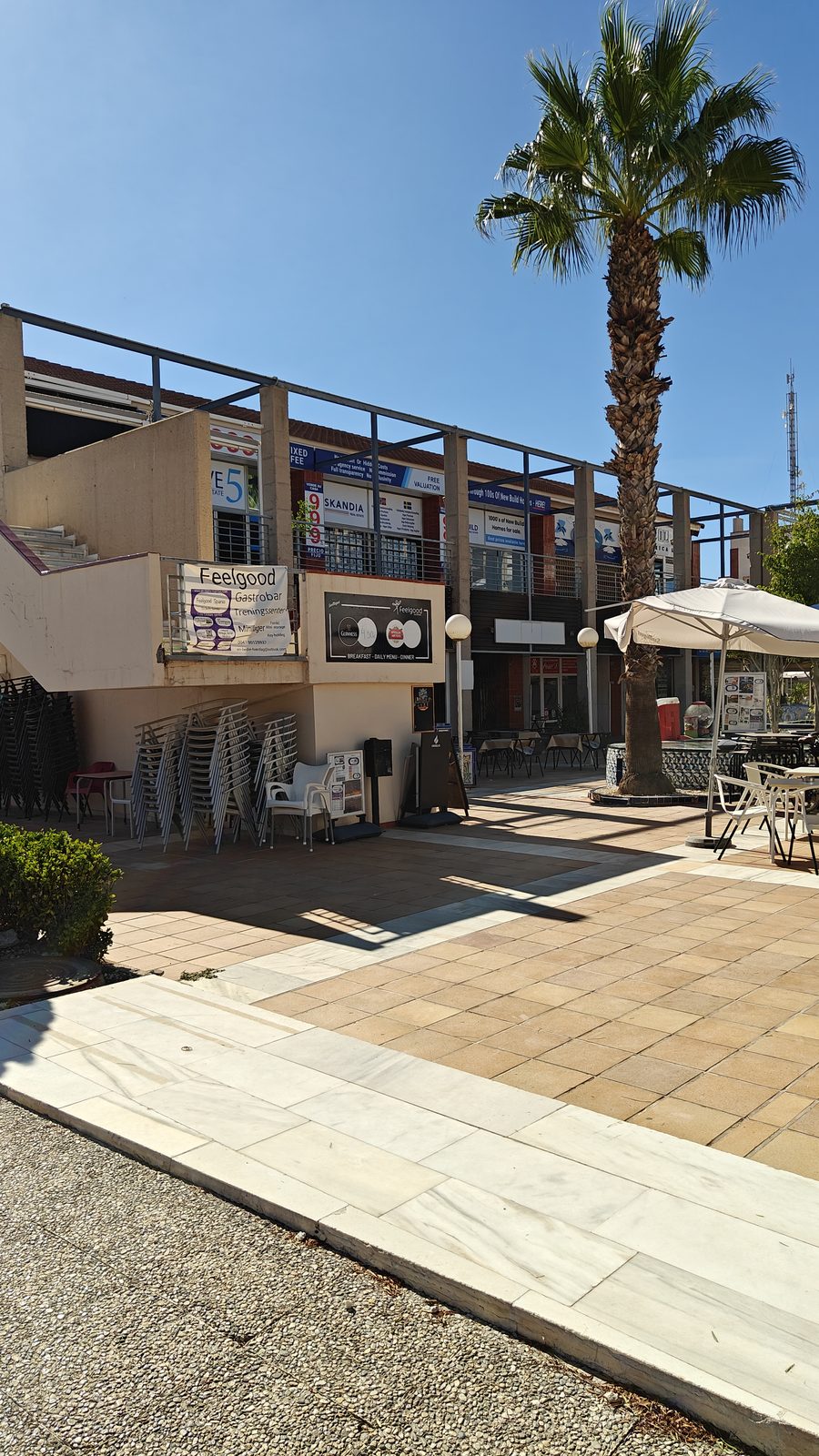 Paved walkway with a palm tree and café tables in Los Dolses